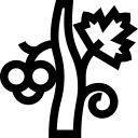 Viticoltura